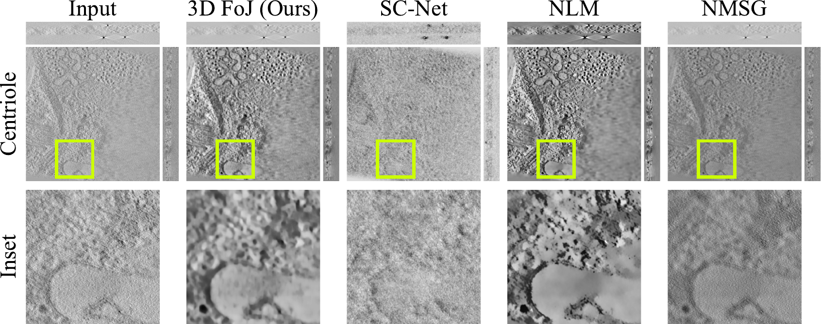 Cryo-ET centriole comparison across input, 3D FoJ, SC-Net, non-local means, and NMSG in three slice directions.